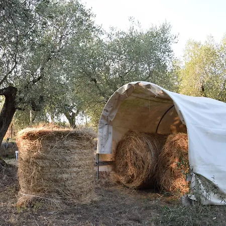 ゲストハウス Da Poldino