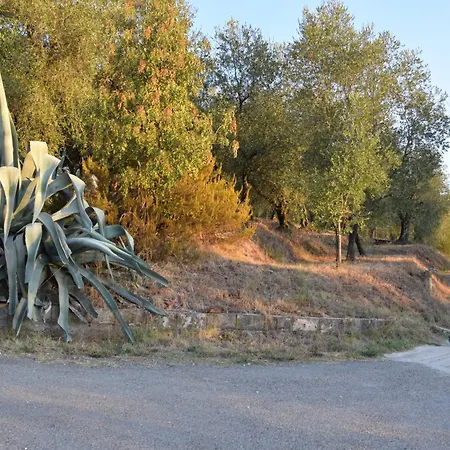 Da Poldino Borgo a Buggiano