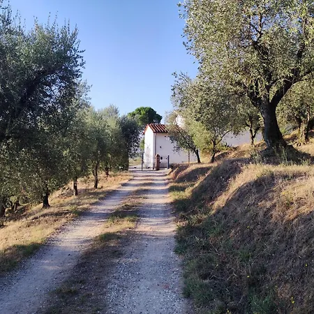 Da Poldino Guest house *