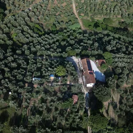 Konukevi Da Poldino