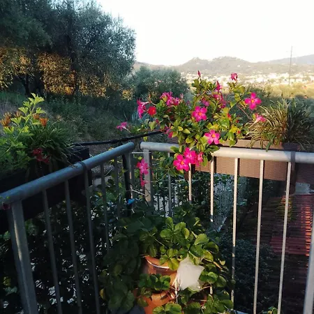 Da Poldino Borgo a Buggiano