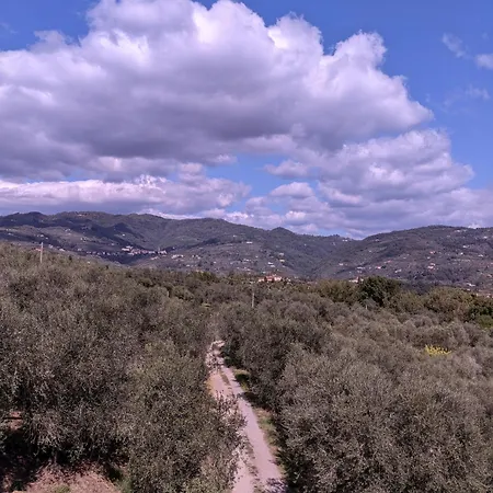 Da Poldino 3*
