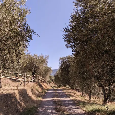 Da Poldino Borgo a Buggiano