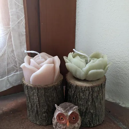 Da Poldino Borgo a Buggiano