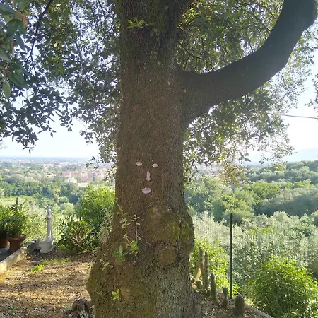 Maison d'hôtes Da Poldino Borgo a Buggiano