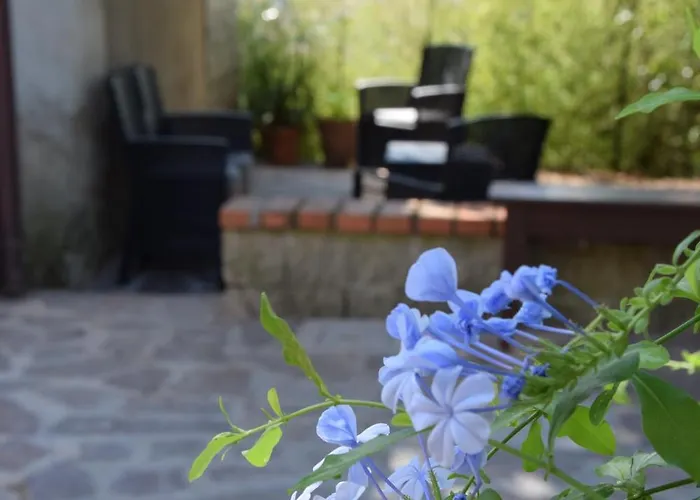 Da Poldino 3* ボルゴ・ア・ブッジャーノ