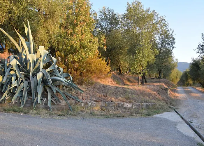 Da Poldino ボルゴ・ア・ブッジャーノ