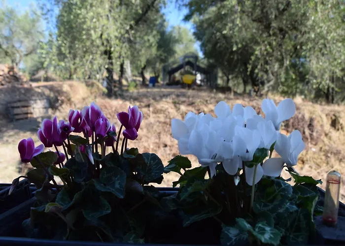 ゲストハウス Da Poldino