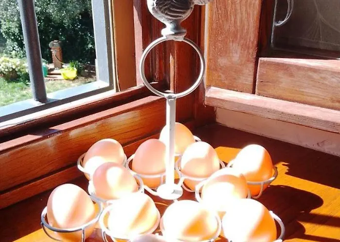 ゲストハウス Da Poldino