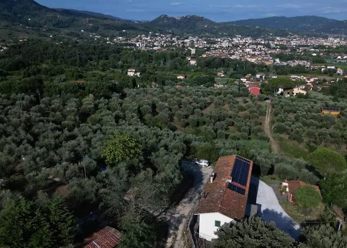 Da Poldino ゲストハウス 3*