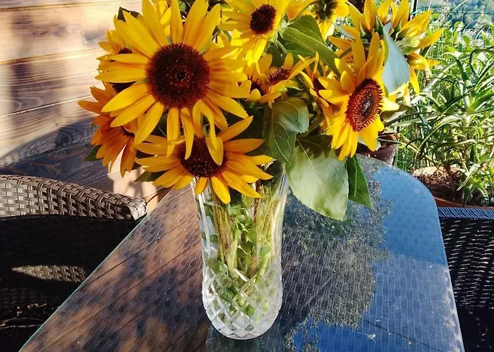 ゲストハウス Da Poldino ボルゴ・ア・ブッジャーノ