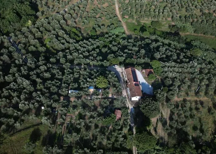 ゲストハウス Da Poldino