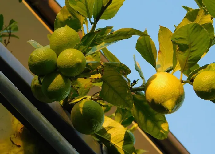 ゲストハウス Da Poldino 3*