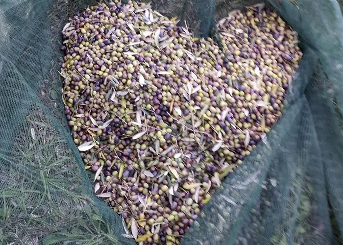 Da Poldino ボルゴ・ア・ブッジャーノ