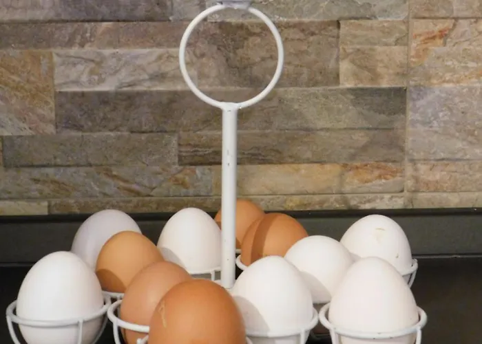 Da Poldino ゲストハウス