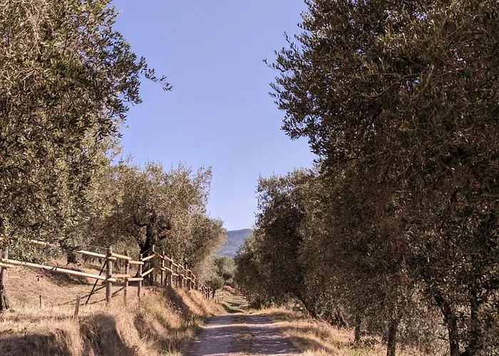 Da Poldino ボルゴ・ア・ブッジャーノ